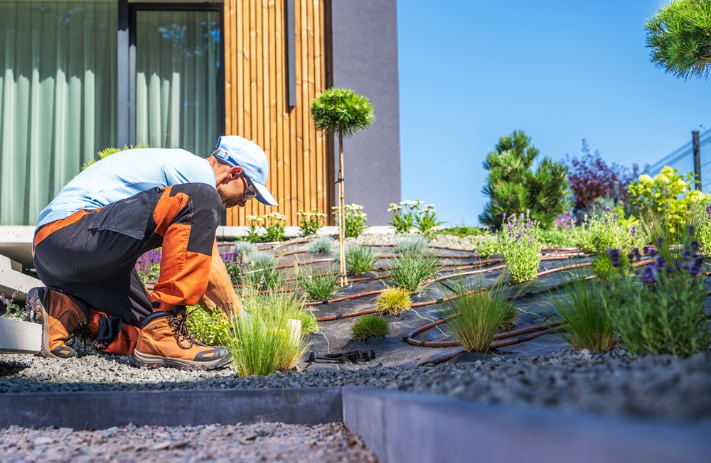 Firma ogrodnicza Bydgoszcz 